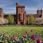 Trump Is The Most Consequential Art President In Our Lifetime. We Need A Counter Policy