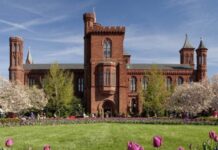 Trump Is The Most Consequential Art President In Our Lifetime. We Need A Counter Policy