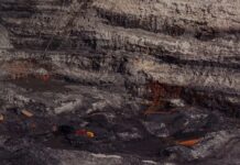 The Idea Of An Anthropocene Era Has Been Declared Dead