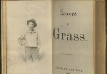 AI and artists and rights