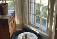 We Don’t Need an Alt Cultural Policy