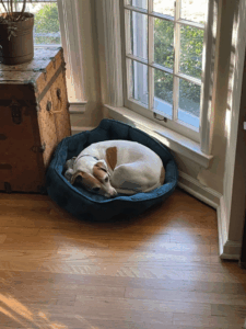 We Don’t Need an Alt Cultural Policy