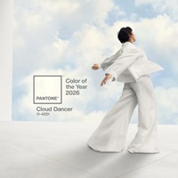 Pantone’s 2026 Color Of The Year Is … White?