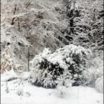 Welcome to Twenty Twenty-Six