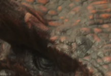 Hey, Hang On, Netflix Might Be Great For Warner Bros.