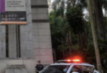 Museums Were Prepared For Vandals, But Not For Thieves