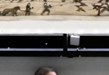 Apparently, One Can Insure The Bayeux Tapestry