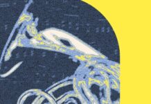 A Tumultuous Year For Washington DC Classical Music