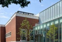 How Did US Museum Design Get So Boring?