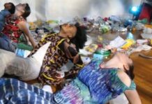 Dancers Who Are Focusing On Climate Change