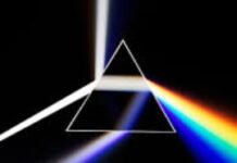 The Importance Of Style In Science