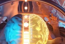 Struggling To Define Intelligence: What Does It Take?