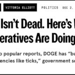 DOGE Has Evolved from Chainsaw to Ticks