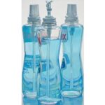 Janet Fish, Dead At 87, Painted Radiant Still Lifes As The Art World Favored Abstraction