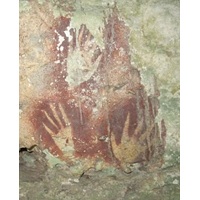 World’s Oldest Known Cave Art Discovered In Indonesia