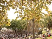 With Adelaide Festival Writers’ Week Cancelled, A Grassroots Festival Is Popping Up Instead