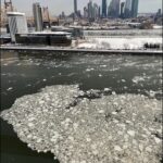 Take a Dip, Please, in NYC’s East River