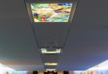 What’s Going On With A Proposed Audit Of The Houston Airport’s Public Art Program?