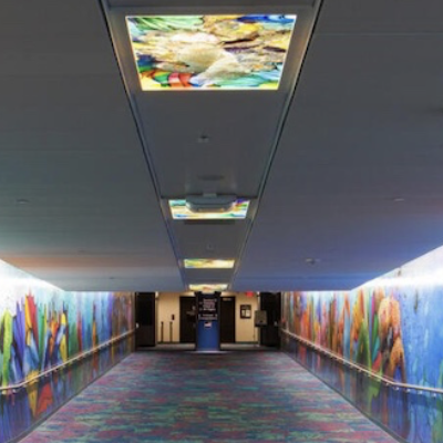 What’s Going On With A Proposed Audit Of The Houston Airport’s Public Art Program?