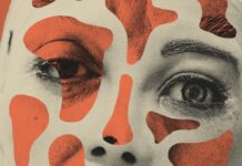 What A Photograph Might Tell Us About Consciousness