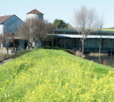 Napa Art Museum Selling Its Estate Because Of Financial Pressures