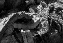 Kenneth Turan: I Lost My Library In The LA Fires. Should I Start Collecting Again?