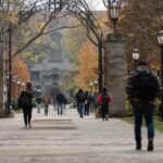 Elite Universities Are Cutting Their Art History Admissions