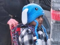 A.O. Scott Annotates The Court Order Freeing The Five-Year-Old Held By ICE