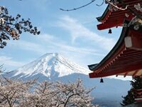 Japanese City Cancels Major Cherry-Blossom Festival Because Tourists Behave So Badly