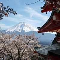 Japanese City Cancels Major Cherry-Blossom Festival Because Tourists Behave So Badly
