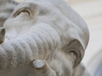 Why Does Bernini’s Beloved Elephant Sculpture In Rome Keep Losing The Tip Of Its Tusk?