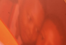 What Happens When Artists Lose Their Archives