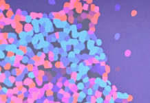 The Berlinale Has Been A Complex Mess Of Politics. Why?