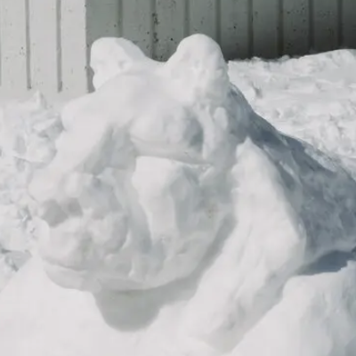 The Snow Sculptures Of New York’s Latest Storm
