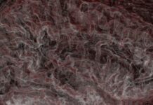 What Does It Mean To “Rewire” Your Brain?