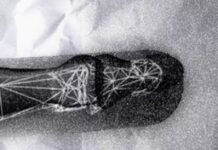 Writers, Artists Hesitate To Admit They’re Using AI