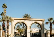 Netflix Backs Out Of Offer For Warner; Paramount Wins