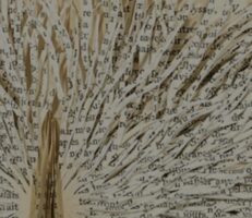 The Political Left Case For Teaching The Great Books
