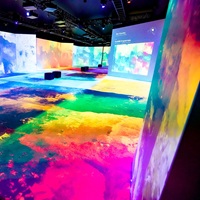 Indianapolis Museum Of Art Has Closed Its High-Tech Immersive Art Space