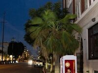 Downtown L.A.’s Latest, And Smallest, Performance Venue Looks Like An Electrical Box