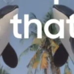 TikTok Has A Policy On Labeling AI-Generated Advertising, But Those Labels Are Really Not Working