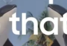 TikTok Has A Policy On Labeling AI-Generated Advertising, But Those Labels Are Really Not Working