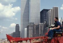 How The Land Art Movement Changed Our Perspective