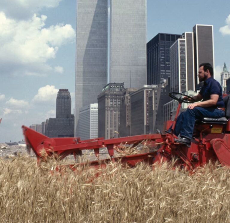 How The Land Art Movement Changed Our Perspective
