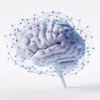 AI Is Showing Where The Gaps In Education Are
