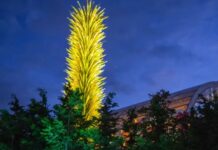 Man Causes $240K Of Damage To Chihuly Glass At Museum
