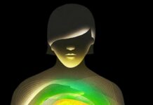 Can Wisdom Be Taught?