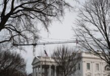 Trump’s Handpicked Arts Commission Says Plans For New White House Entry “Not Beautiful Enough”