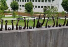 I wanted To Be A Critic. It Doesn’t Exist Anymore