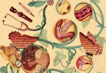 How To Build A Diagnostic Brain